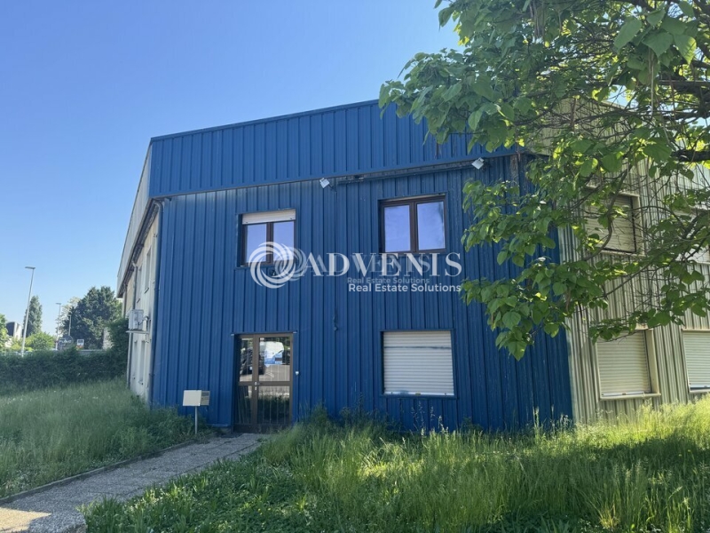 Location Activités Entrepôts ECKBOLSHEIM (67201) - Photo 2