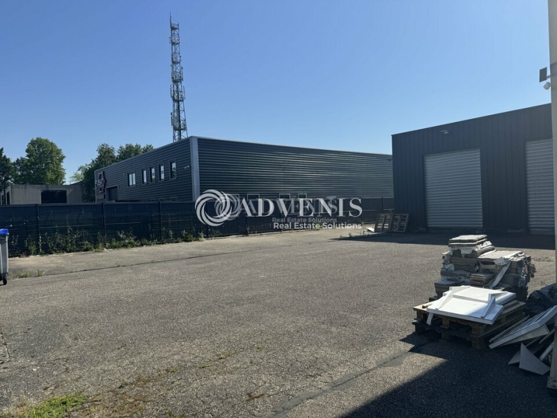 Location Activités Entrepôts ECKBOLSHEIM (67201) - Photo 3