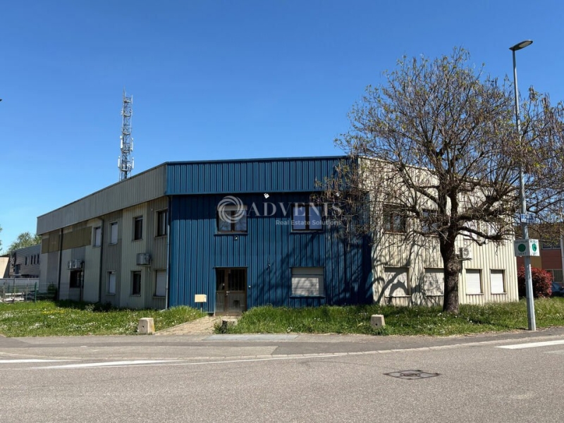 Location Activités Entrepôts ECKBOLSHEIM (67201) - Photo 4