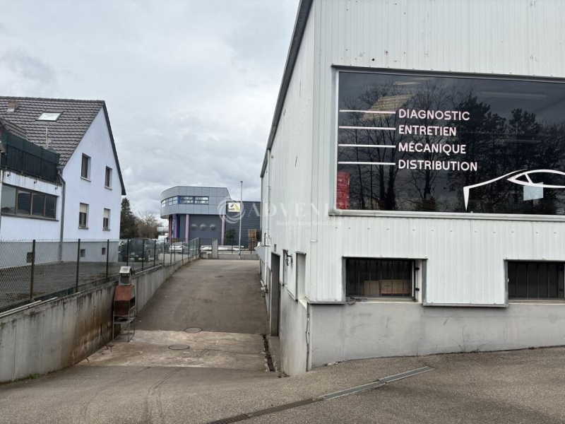 Location Activités Entrepôts ILLKIRCH GRAFFENSTADEN (67400) - Photo 3