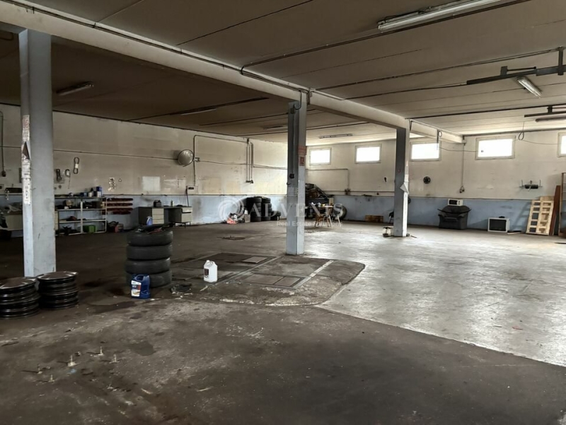 Location Activités Entrepôts ILLKIRCH GRAFFENSTADEN (67400) - Photo 9