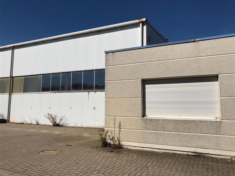 Location Activités Entrepôts VENDENHEIM (67550) - Photo 5