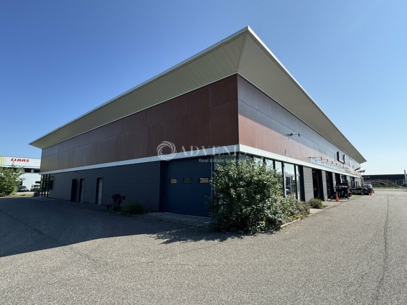 Location Activités Entrepôts BRUMATH (67170) - Photo 3