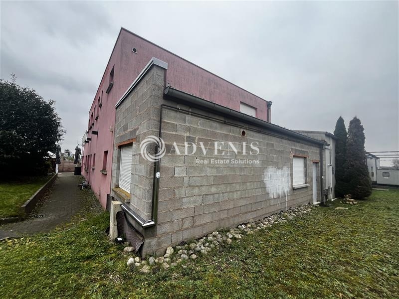 Location Activités Entrepôts MOMMENHEIM (67670) - Photo 3