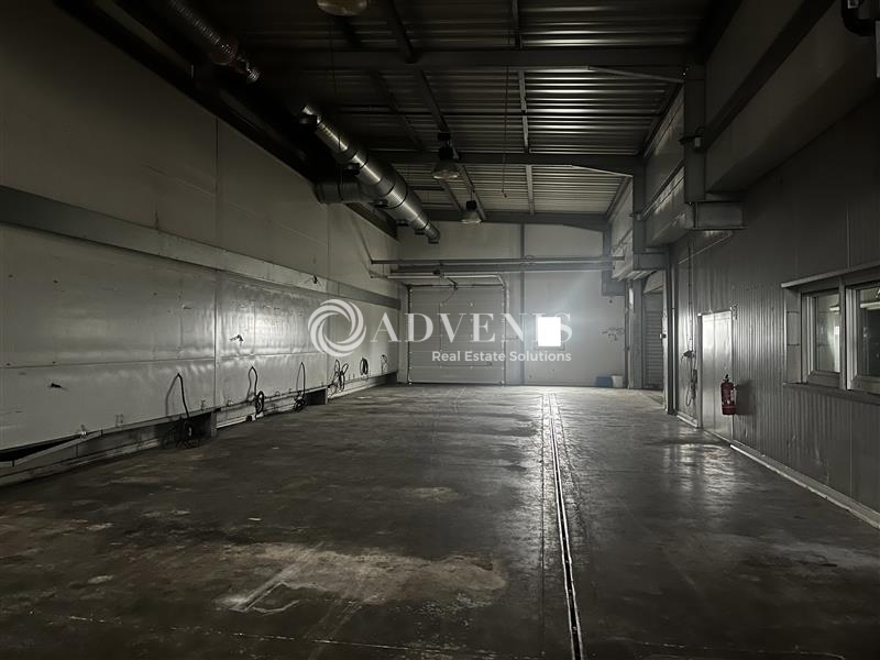 Location Activités Entrepôts MOMMENHEIM (67670) - Photo 4
