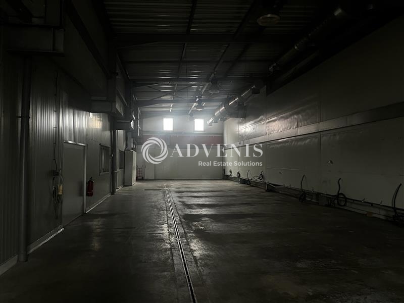 Location Activités Entrepôts MOMMENHEIM (67670) - Photo 5