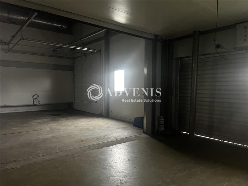 Location Activités Entrepôts MOMMENHEIM (67670) - Photo 7