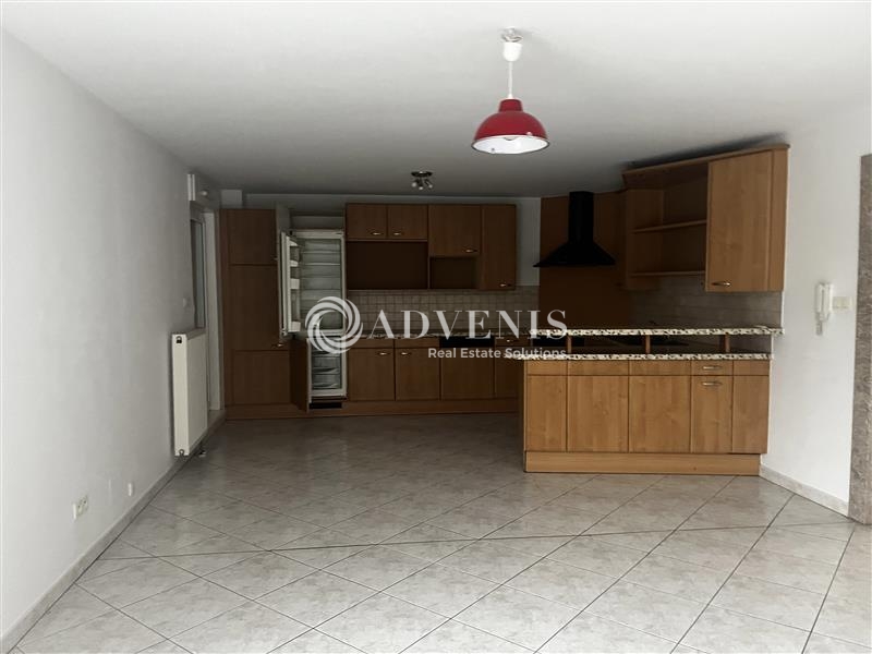 Location Activités Entrepôts MOMMENHEIM (67670) - Photo 8