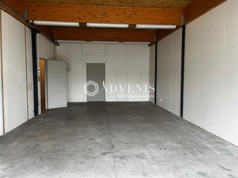 Location Activités Entrepôts GEISPOLSHEIM (67118) - Photo 3