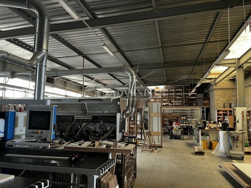 Vente Investisseur Activités Entrepôts HOENHEIM (67800) - Photo 3