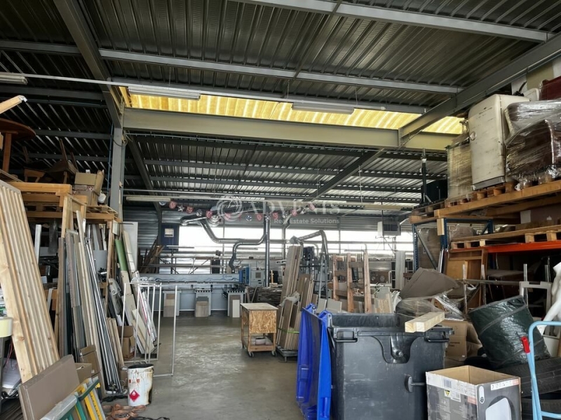 Vente Investisseur Activités Entrepôts HOENHEIM (67800) - Photo 5