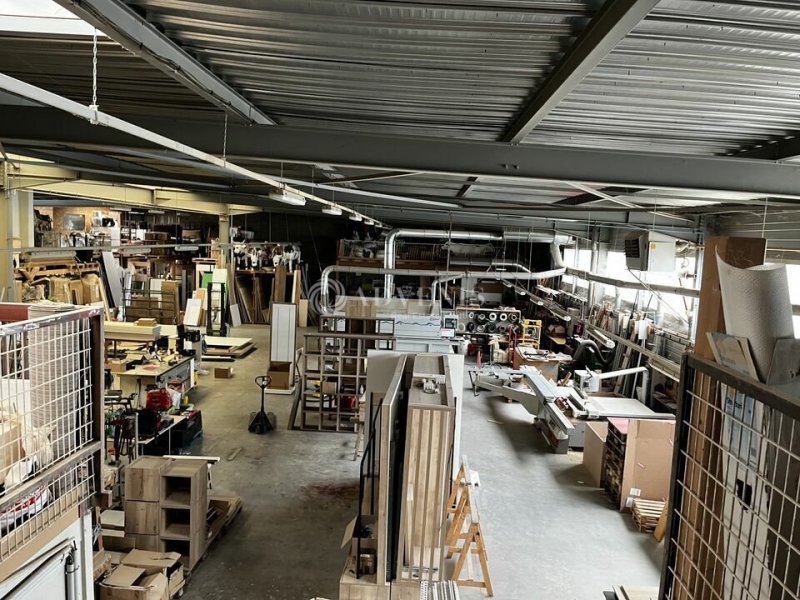 Vente Investisseur Activités Entrepôts HOENHEIM (67800) - Photo 6