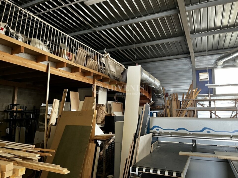 Vente Investisseur Activités Entrepôts HOENHEIM (67800) - Photo 7