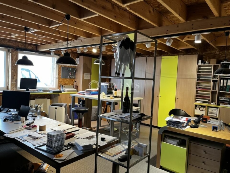 Vente Investisseur Activités Entrepôts HOENHEIM (67800) - Photo 9