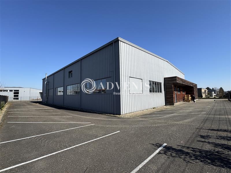 Location Activités Entrepôts ERNOLSHEIM BRUCHE (67120) - Photo 1