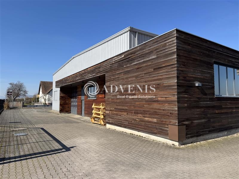 Location Activités Entrepôts ERNOLSHEIM BRUCHE (67120) - Photo 2