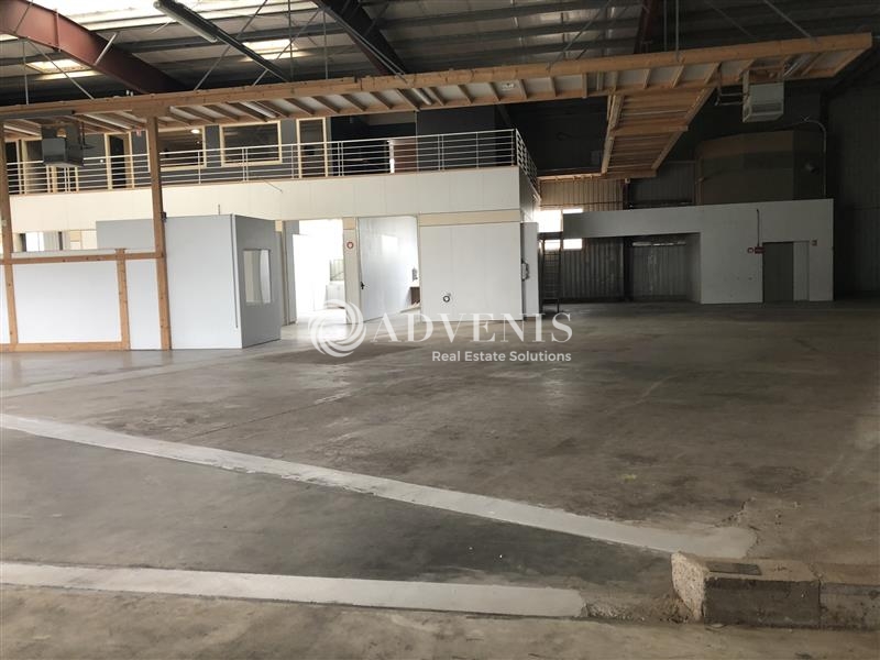 Location Activités Entrepôts ERNOLSHEIM BRUCHE (67120) - Photo 3