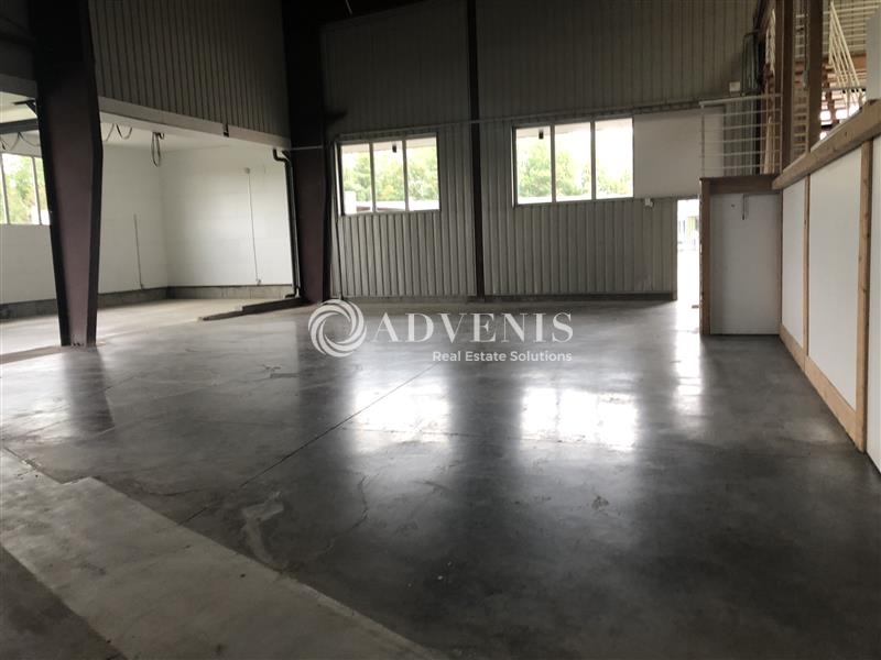 Location Activités Entrepôts ERNOLSHEIM BRUCHE (67120) - Photo 4