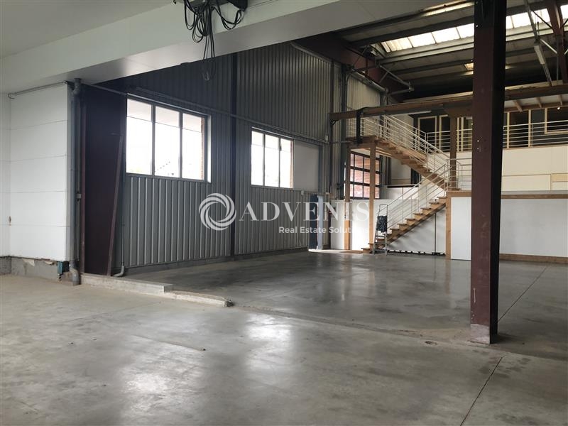 Location Activités Entrepôts ERNOLSHEIM BRUCHE (67120) - Photo 5