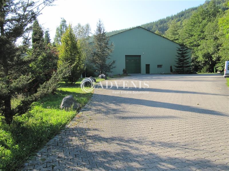 Location Activités Entrepôts WISCHES (67130) - Photo 1