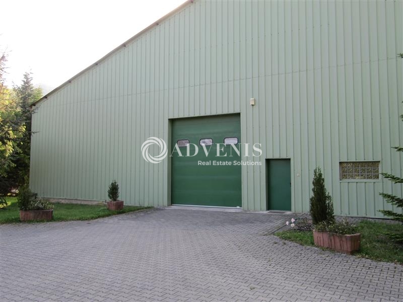 Location Activités Entrepôts WISCHES (67130) - Photo 2