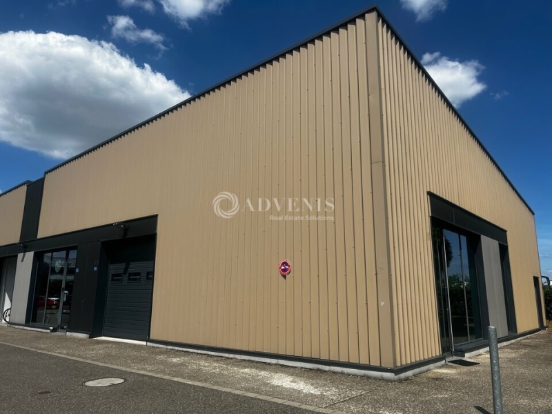 Location Bureaux et activités légères STRASBOURG (67200) - Photo 5