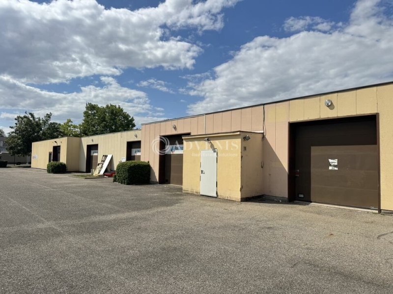 Location Activités Entrepôts ECKBOLSHEIM (67201) - Photo 12