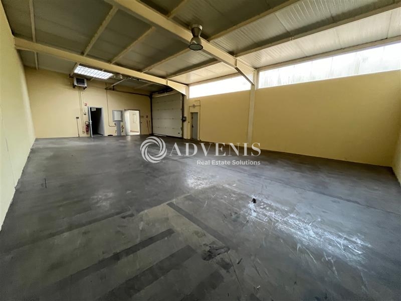 Location Activités Entrepôts HOERDT (67720) - Photo 5