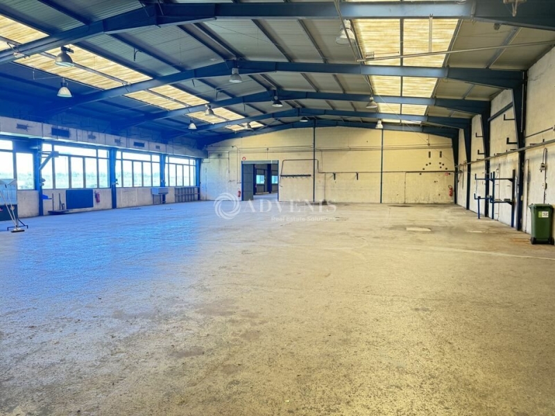 Vente Investisseur Activités Entrepôts DUPPIGHEIM (67120) - Photo 6