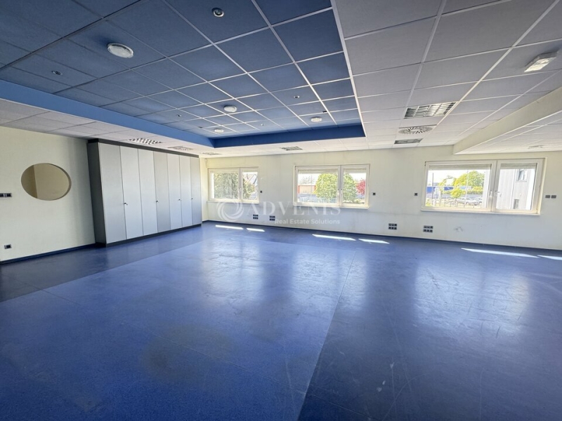 Vente Investisseur Activités Entrepôts DUPPIGHEIM (67120) - Photo 7