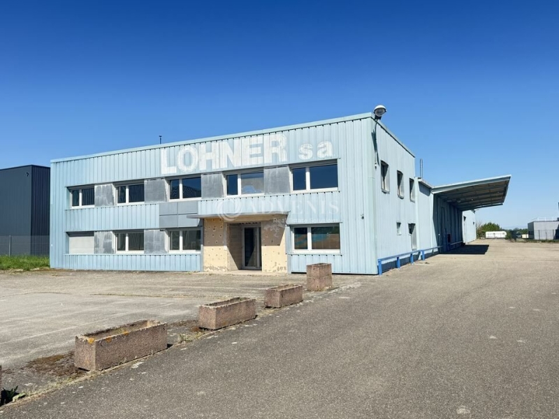 Vente Investisseur Activités Entrepôts DUPPIGHEIM (67120) - Photo 8