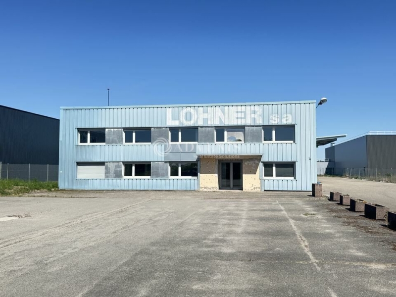 Vente Investisseur Activités Entrepôts DUPPIGHEIM (67120) - Photo 9