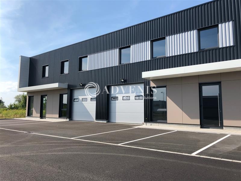 Location Activités Entrepôts HOERDT (67720) - Photo 3