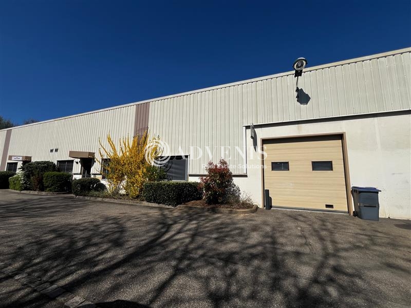 Location Activités Entrepôts SCHILTIGHEIM (67300) - Photo 1