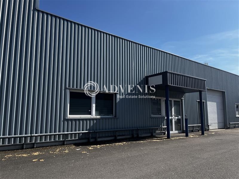Location Activités Entrepôts GEISPOLSHEIM (67118) - Photo 4