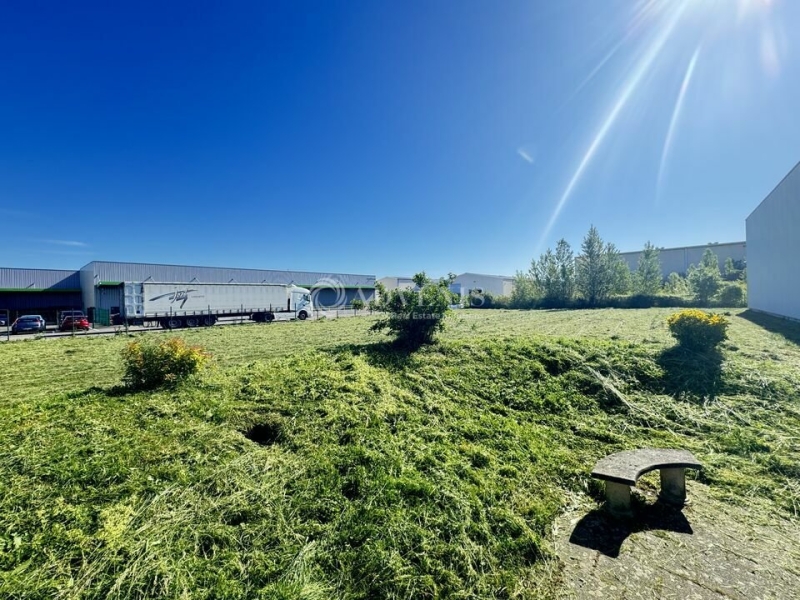 Vente Investisseur Entrepôts HOERDT (67720) - Photo 10