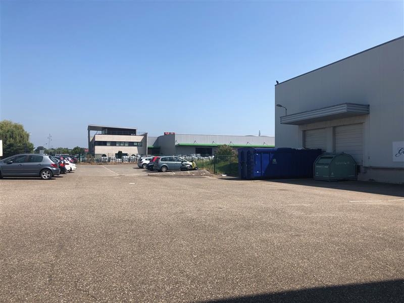 Vente Investisseur Entrepôts HOERDT (67720) - Photo 4