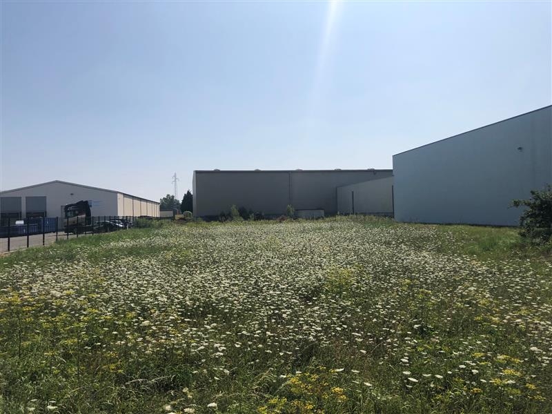 Vente Investisseur Entrepôts HOERDT (67720) - Photo 7