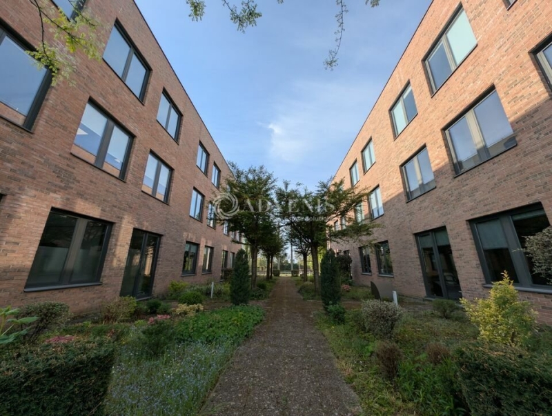 Location Bureaux ENTZHEIM (67960) - Photo 13
