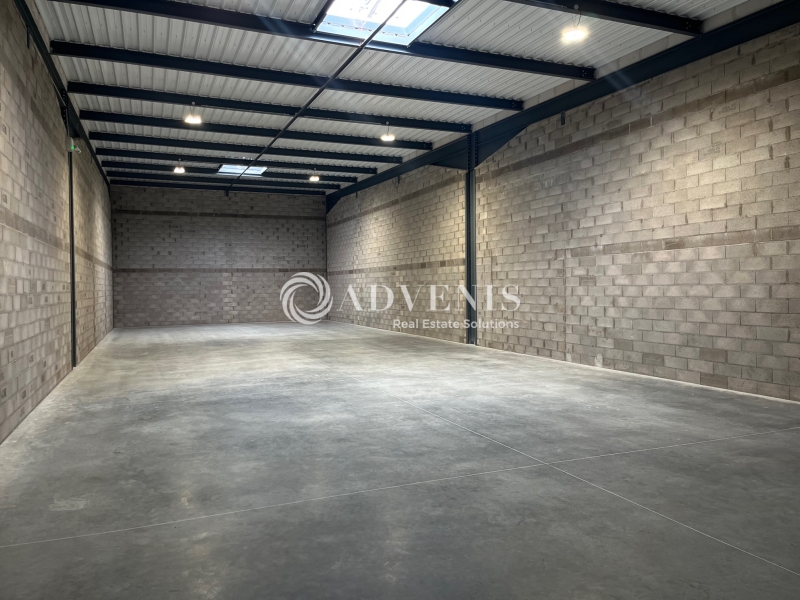 Location Activités Entrepôts HOERDT (67720) - Photo 5