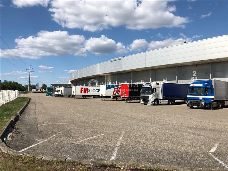 Location Entrepôts BRUMATH (67170) - Photo 1