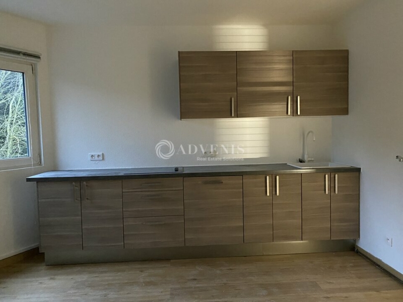 Location Activités Entrepôts ECKBOLSHEIM (67201) - Photo 12