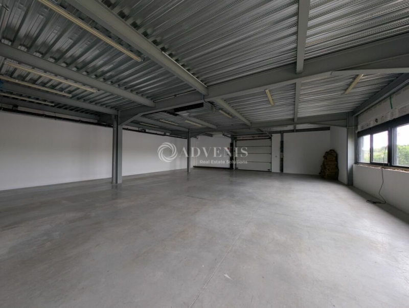 Location Bureaux et activités légères BERNOLSHEIM (67170) - Photo 7