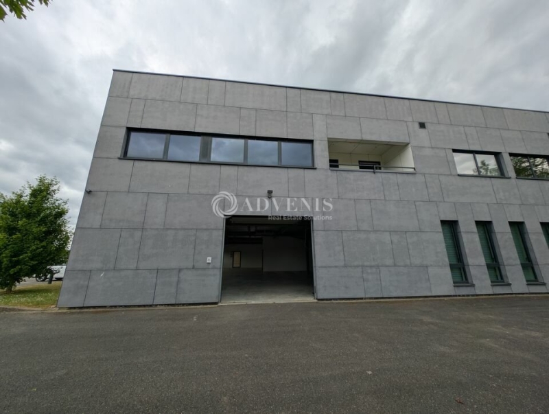 Location Bureaux et activités légères BERNOLSHEIM (67170) - Photo 8