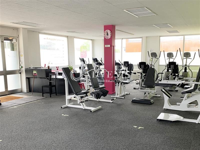 Location Bureaux et activités légères ILLKIRCH GRAFFENSTADEN (67400) - Photo 4