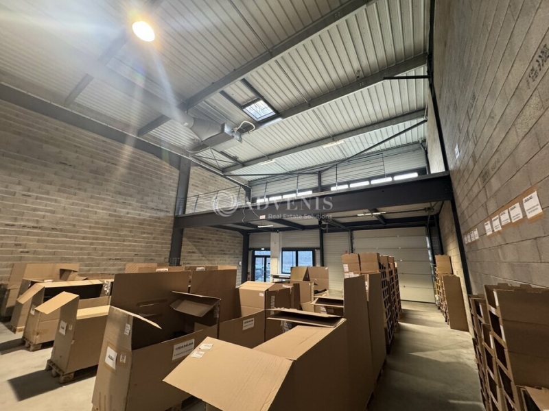 Location Activités Entrepôts BERNOLSHEIM (67170) - Photo 6