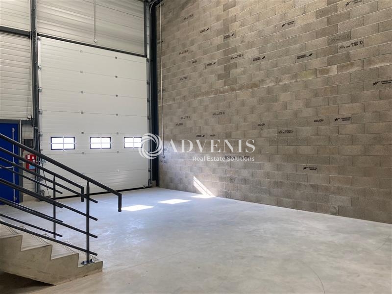Location Activités Entrepôts ILLKIRCH GRAFFENSTADEN (67400) - Photo 6
