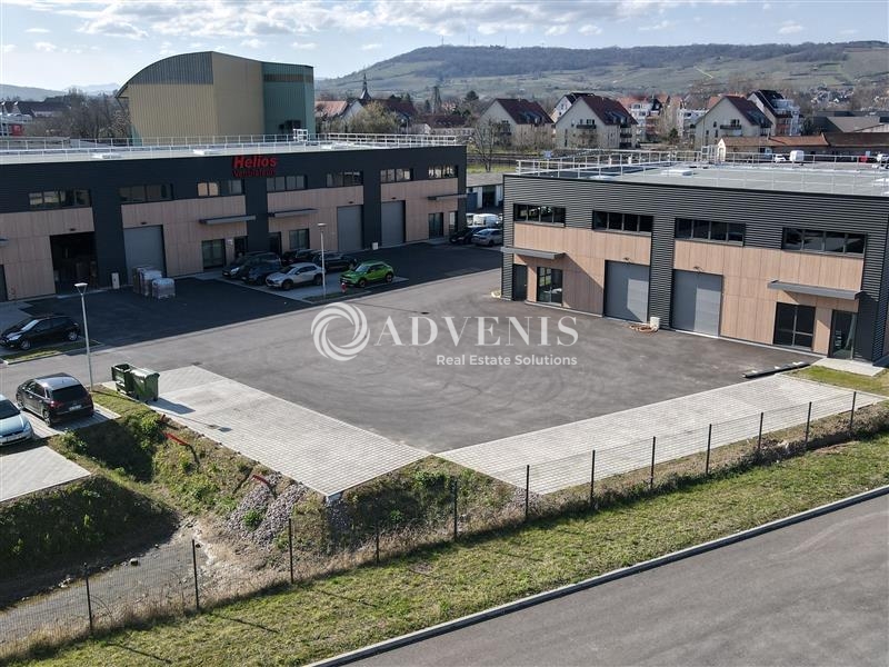 Vente Utilisateur Activités Entrepôts MOLSHEIM (67120) - Photo 4