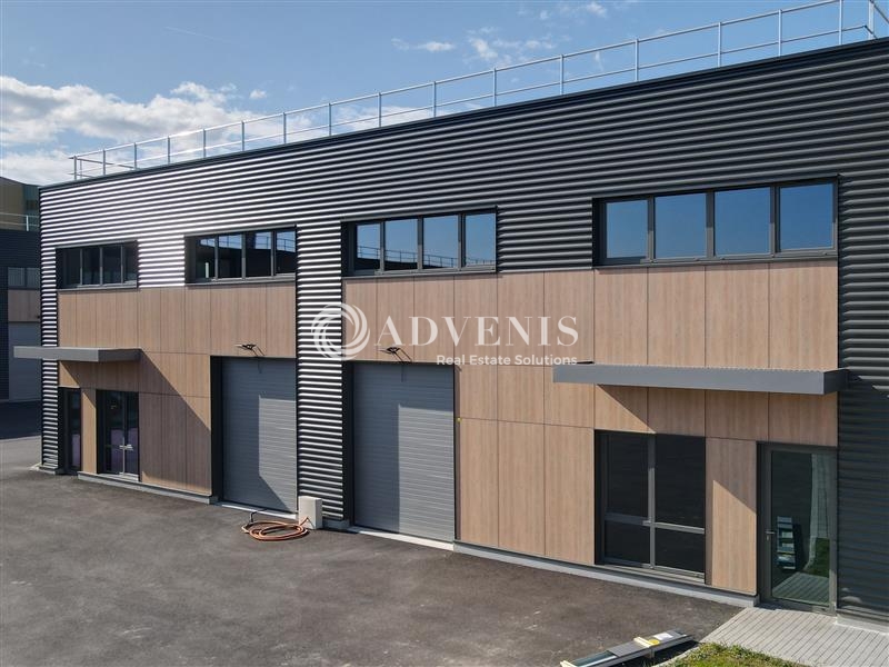 Location Activités Entrepôts MOLSHEIM (67120) - Photo 5