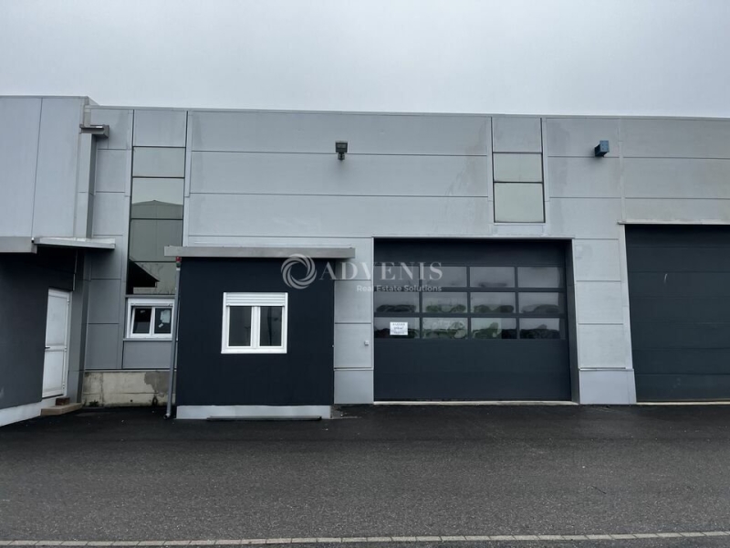Location Activités Entrepôts BENFELD (67230) - Photo 5